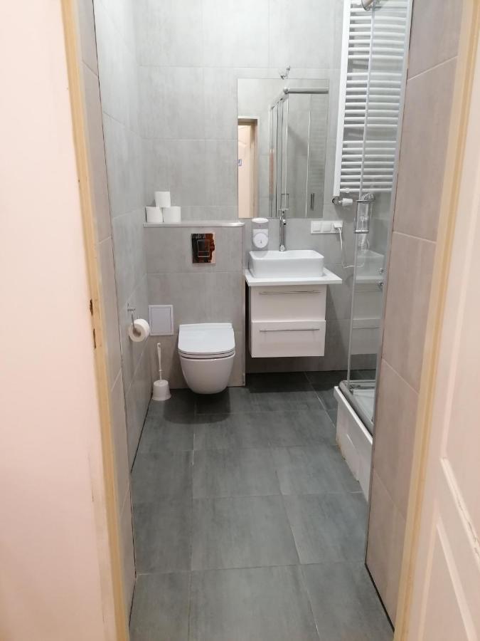 Hostel Tulip - Pokoj 7 Ze Wspolna Lazienka I Kuchnia شتشيتسين المظهر الخارجي الصورة